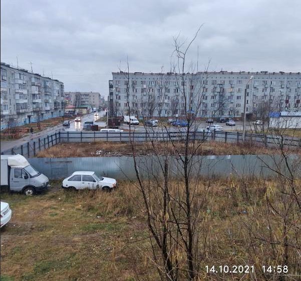 пустырь 1