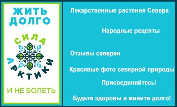 Сила-Арктики_реклама